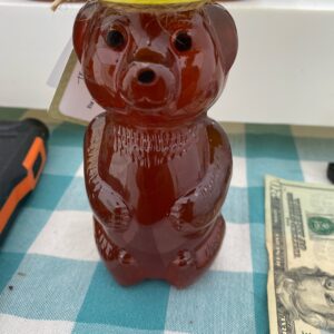 Honey Bear with Book